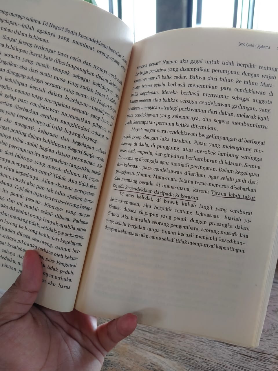 Pengalaman Membaca Novel Roman Negeri Senja Karya Seno Gumira Ajidarma